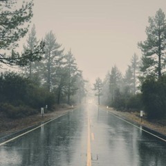 Memories In The Rain