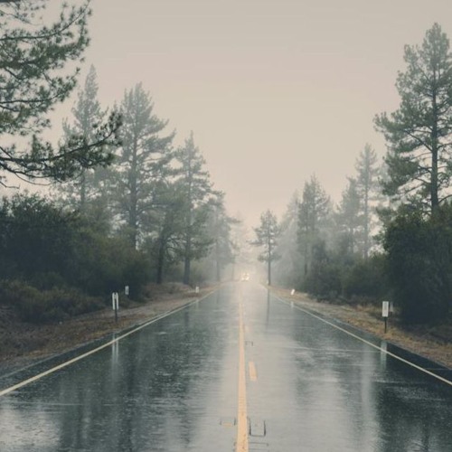 Memories In The Rain