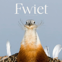 Fwiet! Fwiet! 72 met Jeroen Denaeghel over FWIET 10: EXTREMADURA