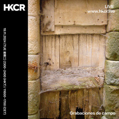 Grabaciones de campo - 19/11/2024