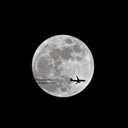 Fly me to the moon.m4a