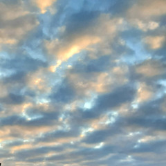 SourAcid- Familiar Themes And Daytime Dreams (Part2)