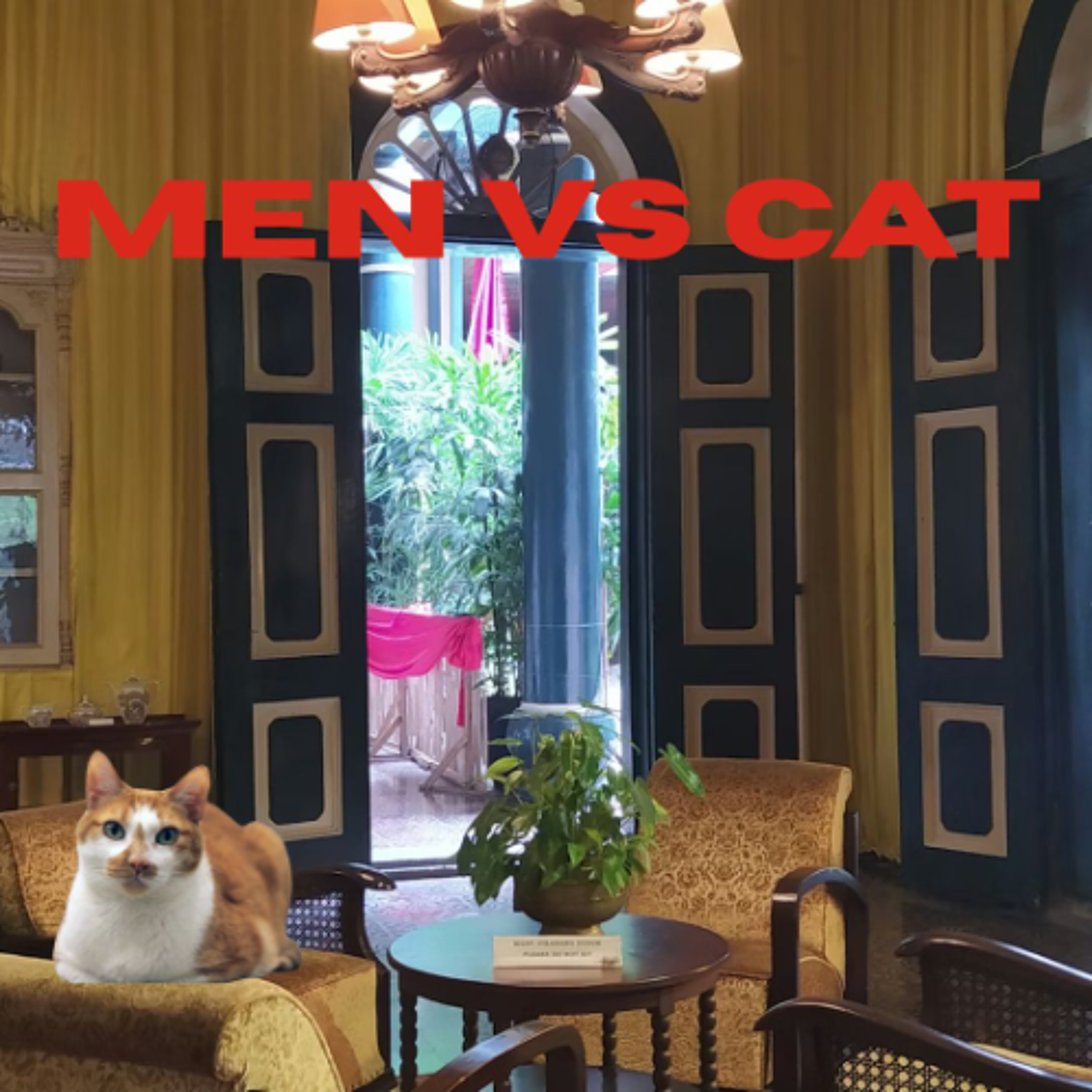 Men Vs Cat - Reece, Jackson, Hugo, Talon and Jude - Xavier College