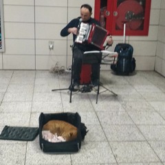 ah bu hayat çekilmez .aac