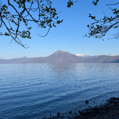Quiet Lakeshore