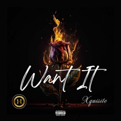 WANT IT -Xquisite.m4a