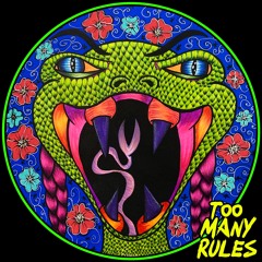 Piem - Cara Guapa (Javi Bora Remix) - Too Many Rules