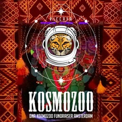 Kosmozoo Fundraiser by DNA @ (Amsterdam)