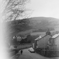 Bagsy Not In Net (Cover of The 1975)