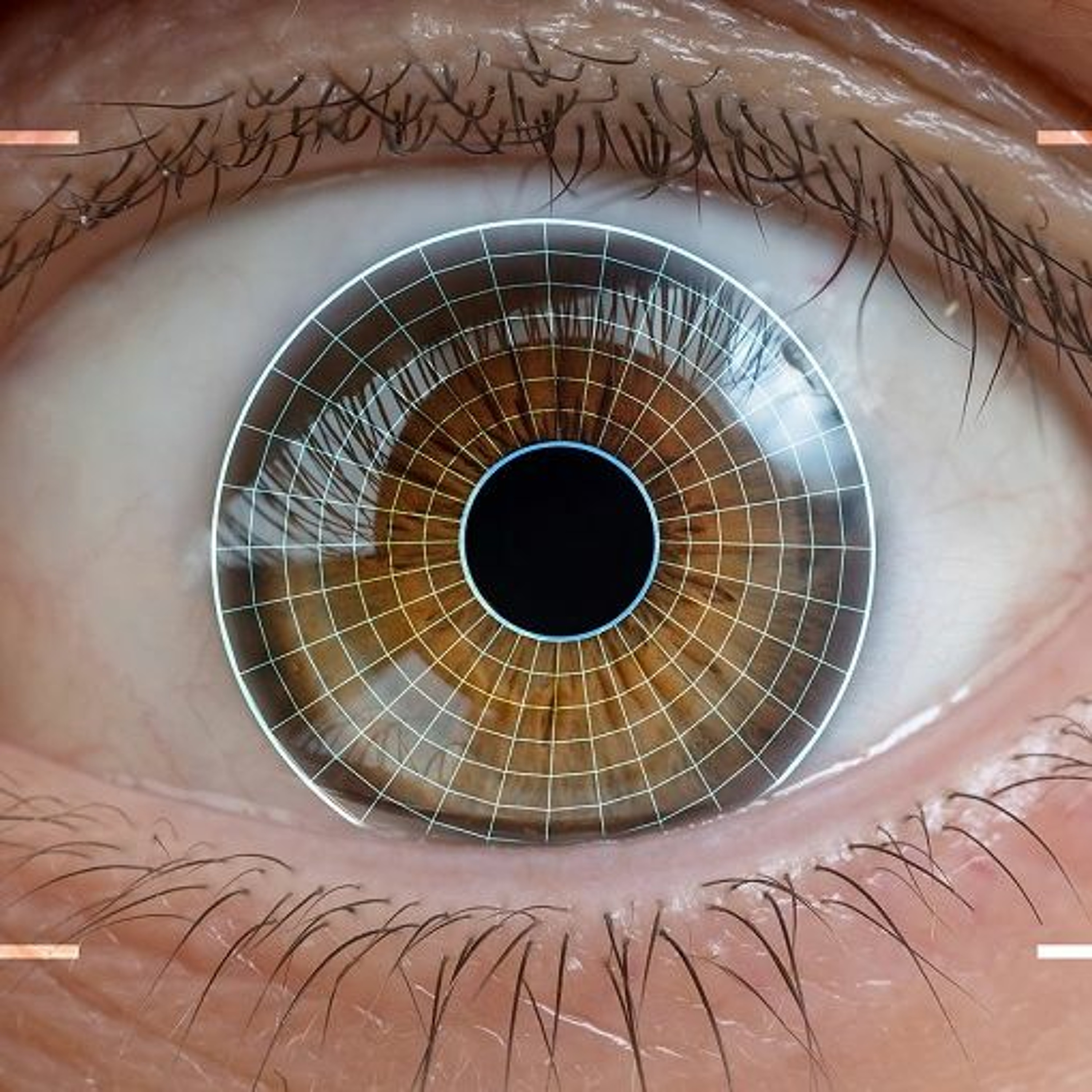 Biometrics in humanitarian action: a delicate balance