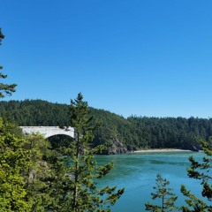 (Short Cover) Leaves by Ben&Ben