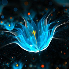 Ambient Chill Mind Warp Trip