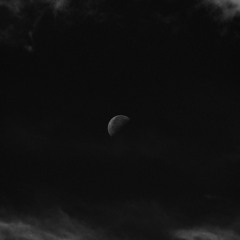 Sistem - Sperante (2004)