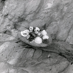 Vibrations Opening - Master 01