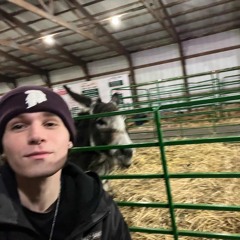 Evil Twins P7 (MEMORIES GONE OG)