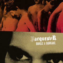 Parquesvr & DJ Pollo - Bukele o bukkake