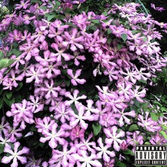 расцветаю feat. kuri!ovegarr