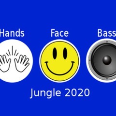 Hands:Face:Bass: Jungle 2020