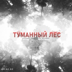 Туманный лес - Intro