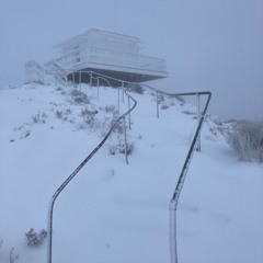 WEST COAST FOG: Stratus Status 020425