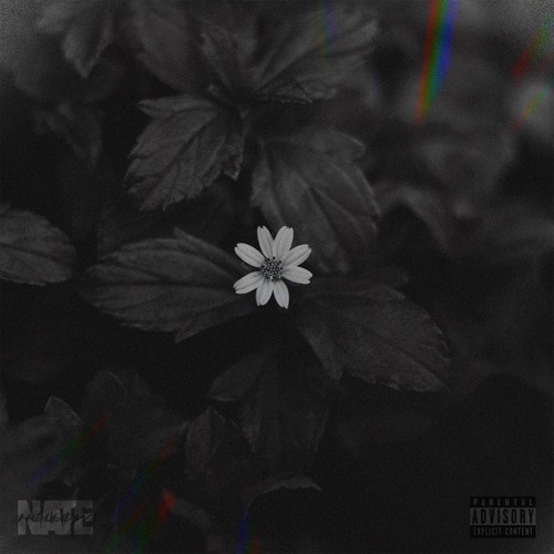 AMNESIA (prod. Blanq Beatz)