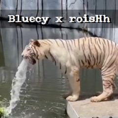 Bluecy - Die Wichtigsten Ausschnitte aus 2025 (roisHh remix)