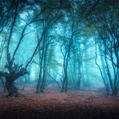 Nearly Blue & The Teetotallers