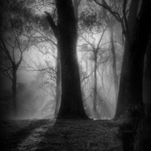 JUMPING NIHILIST - HARDX(slowed)