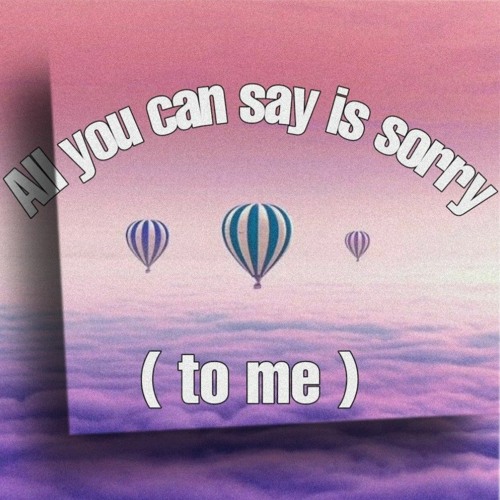 All you can say is sorry (to me)