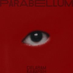 Delaram Kamareh - Parabellum