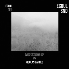 PREMIERE: Nicolas Barnes - Low Fiction