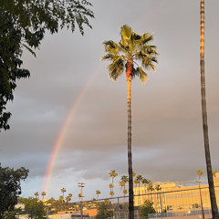 dyed in da wool (circa survive cover)