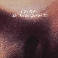 Fall lofi 2025🍁lofi fall🍂chill Autumn beats🍂