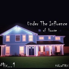 Under The Influence of House 1 (04/23)