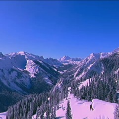 BlissCo winter mix - lu. + neets