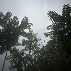 s0unds of the unseen