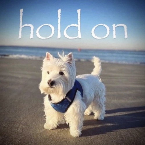 what u want? (prod omgivaaa2x prodbmb)