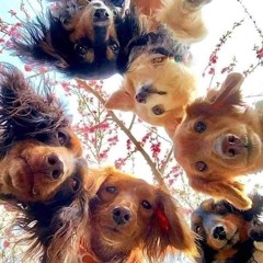 os melhores rappers do Brasil