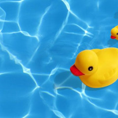 Lucky Duck