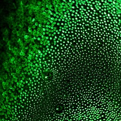 Intonation (Original Mix)