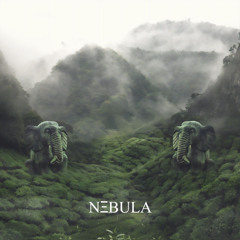 NΞBULA