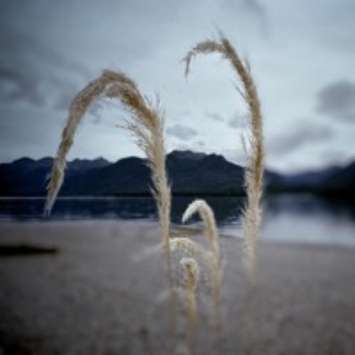 finding