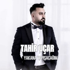 Yakana Yapışacağım