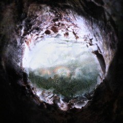 Kneeling with Mycelium