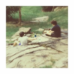 From The Amazonian Cow