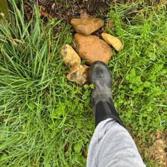 Stone Clearing with Richard Herring - Chapter 184