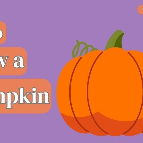 Mastering Pumpkin Drawing in Photoshop: A Beginner's Guide