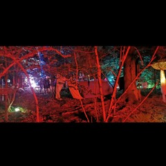NiBo @Es knallt im Wald - Mystic Forest 2021 // Teil 2