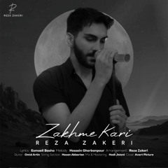 Reza Zakeri - Zakhme Kari | رضا ذاکری - زخم کاری