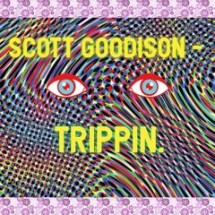 Scott Goodison - Trippin